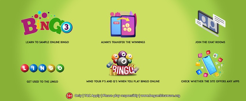 The perks of playing Bingo online: An overview