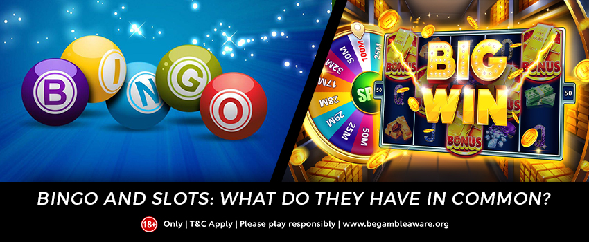  Bingo and Slots: What do they have in common?