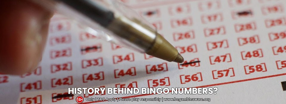  Ever Wondered The History Behind Bingo Numbers?